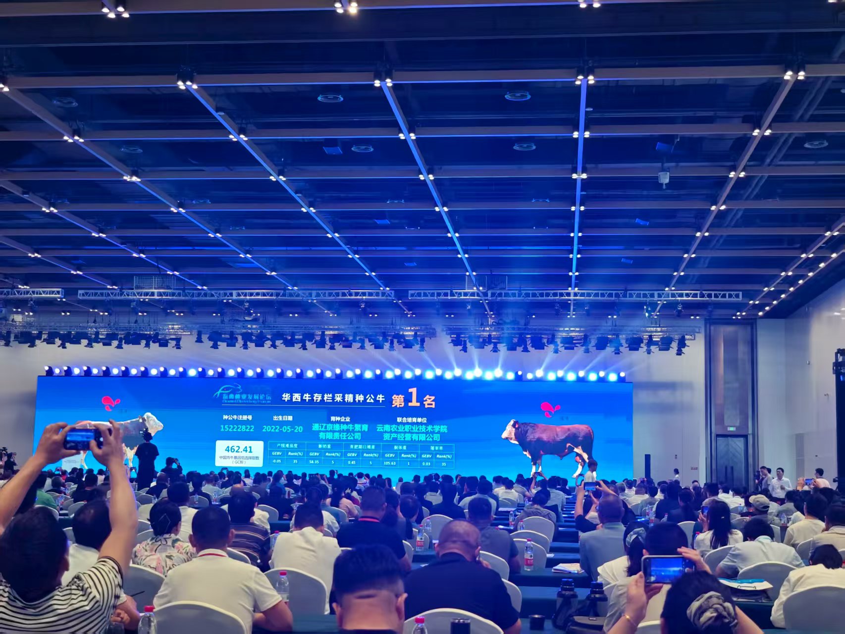 华西牛基因组选择指数（GCBI）第1名