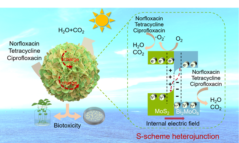 1102FC24A6C6C587A8FB0841598_E4033466_70BF6