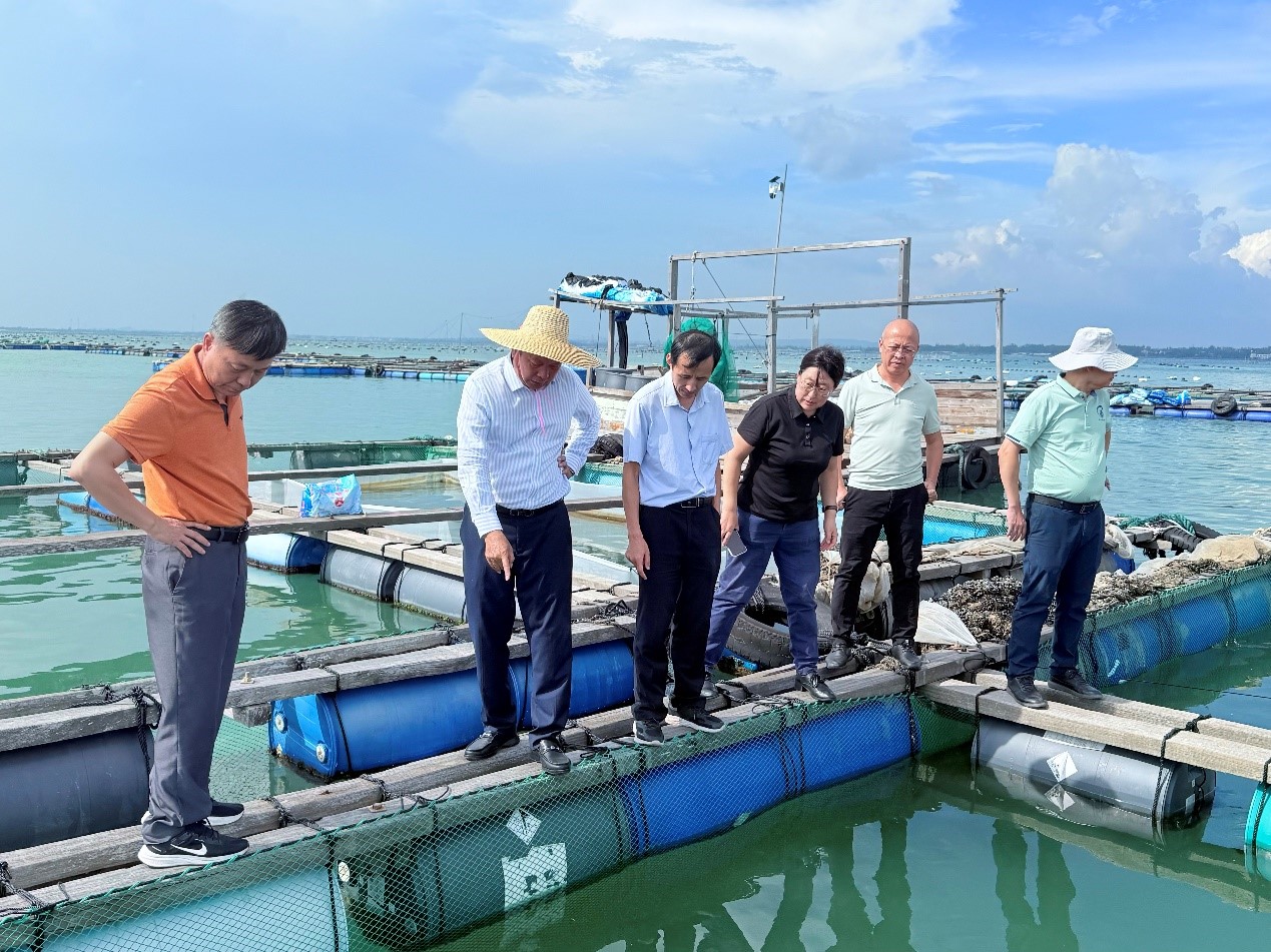 实地调研-1 实地调研-1