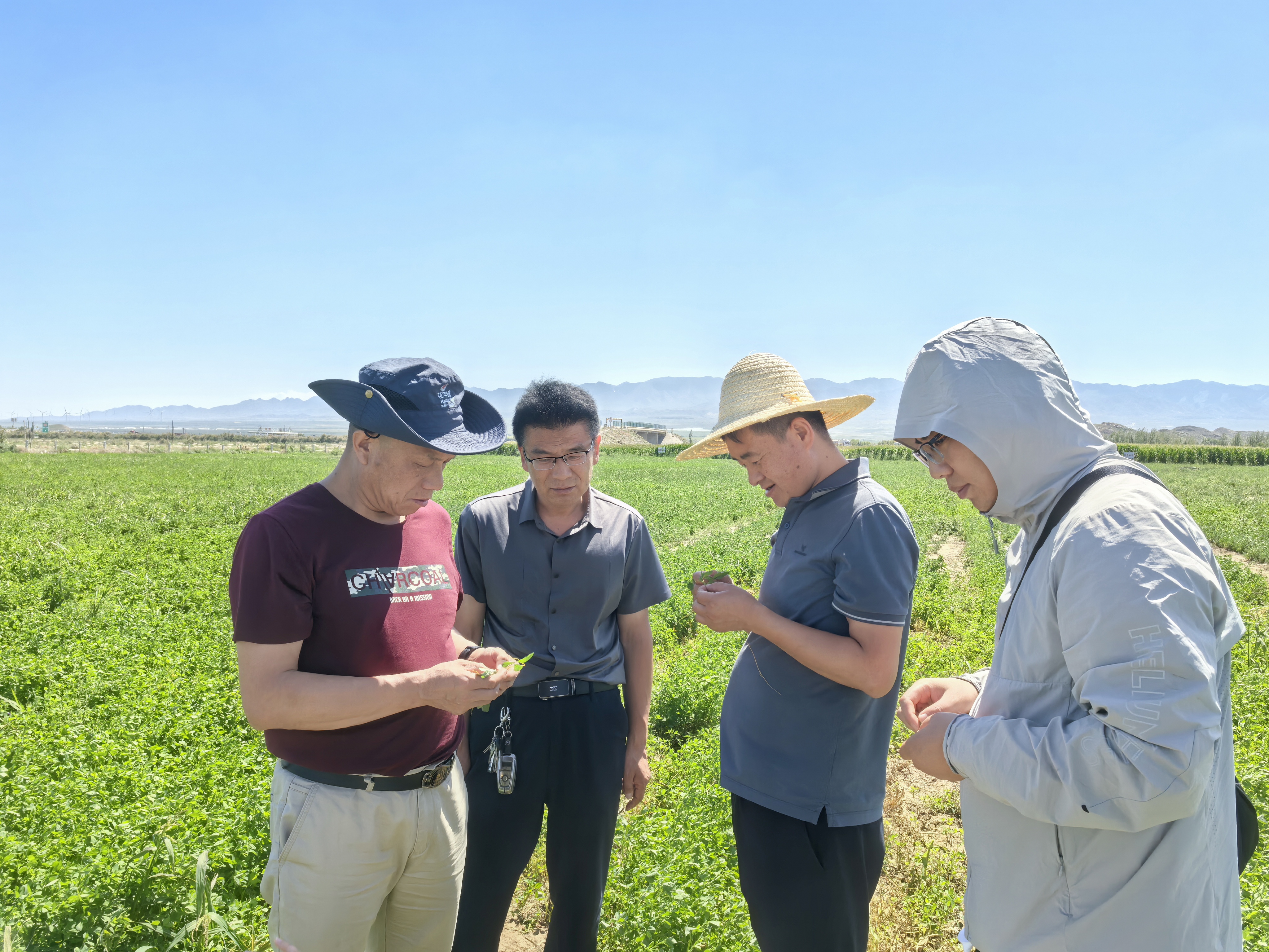 4CC4BE09DD50CE7ED77FA7A18CFC26A4