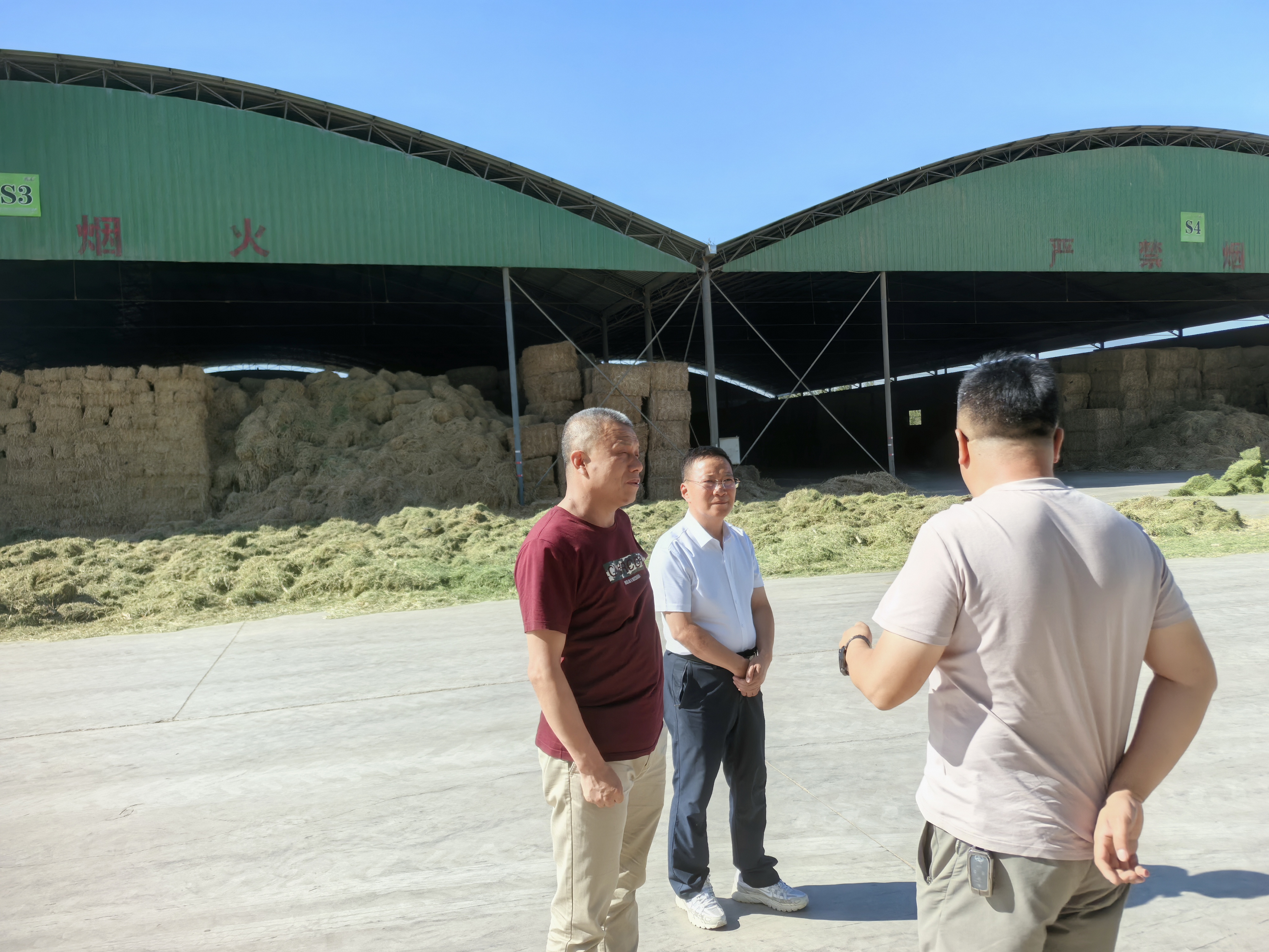 AF8E3CDEB0EA903F8E0234BA045369EC