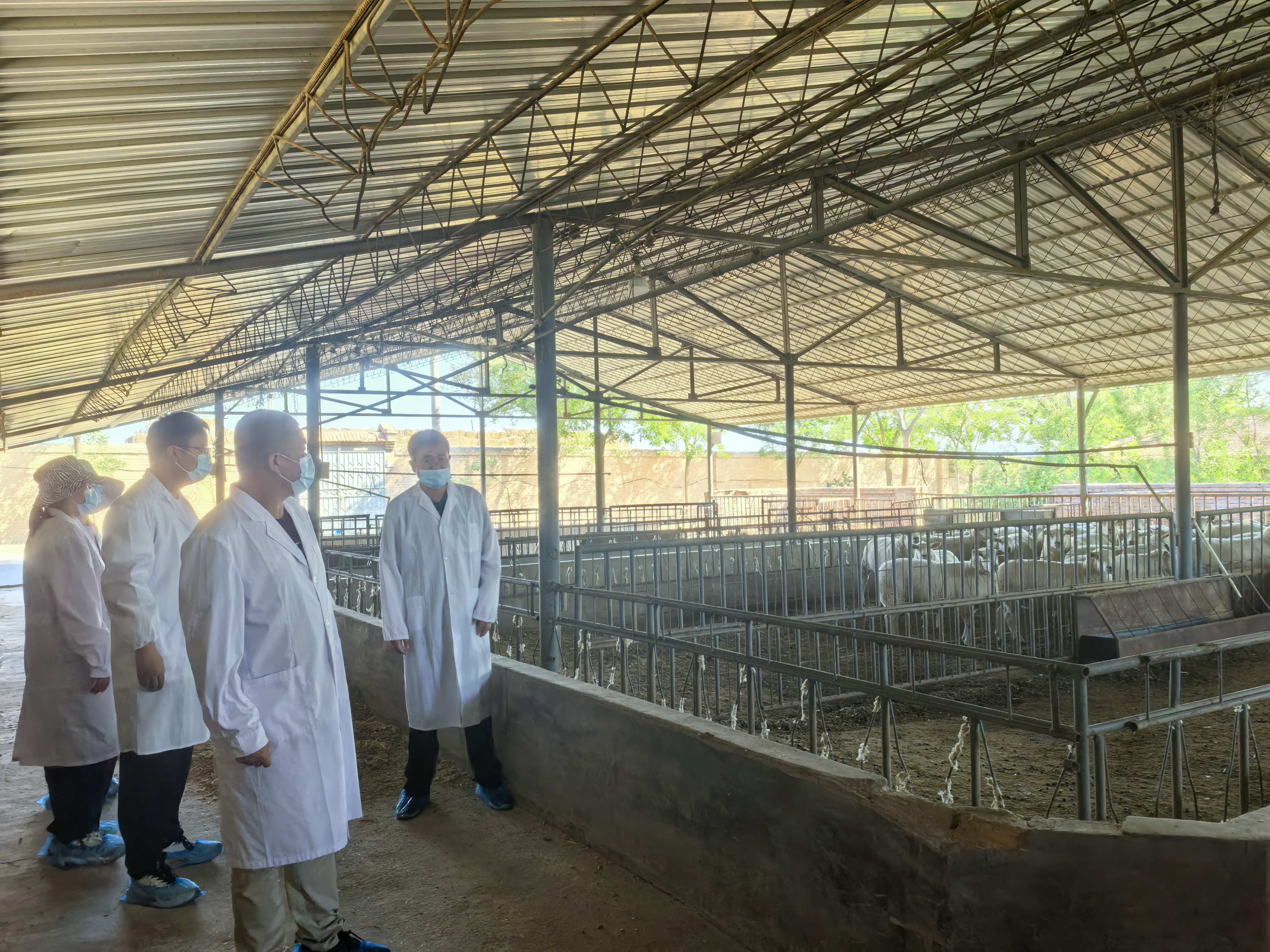 5460B8E34F88406D5212CD3117598EE2