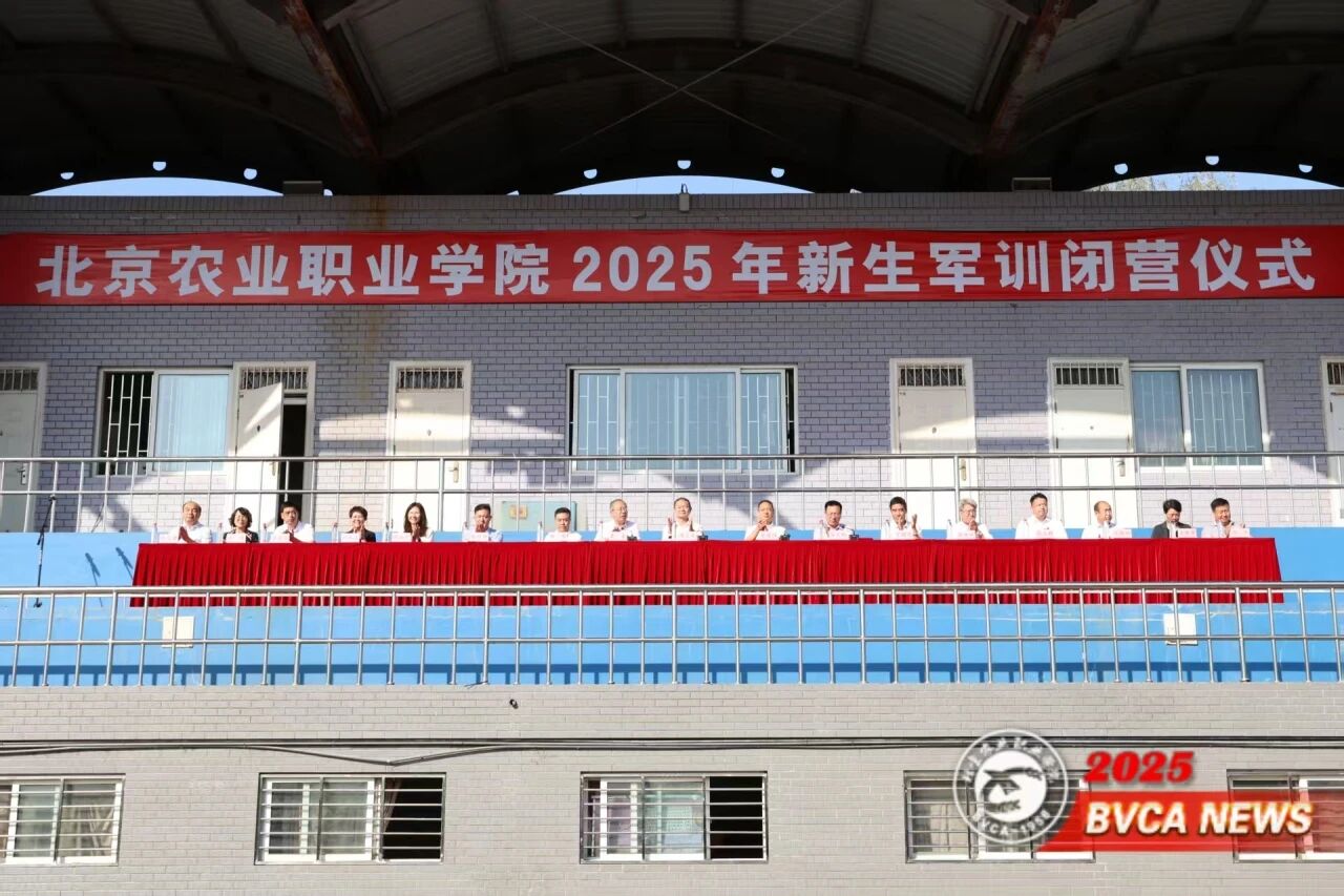 28337f81-bcf6-42b3-8088-b2a6fabcc074