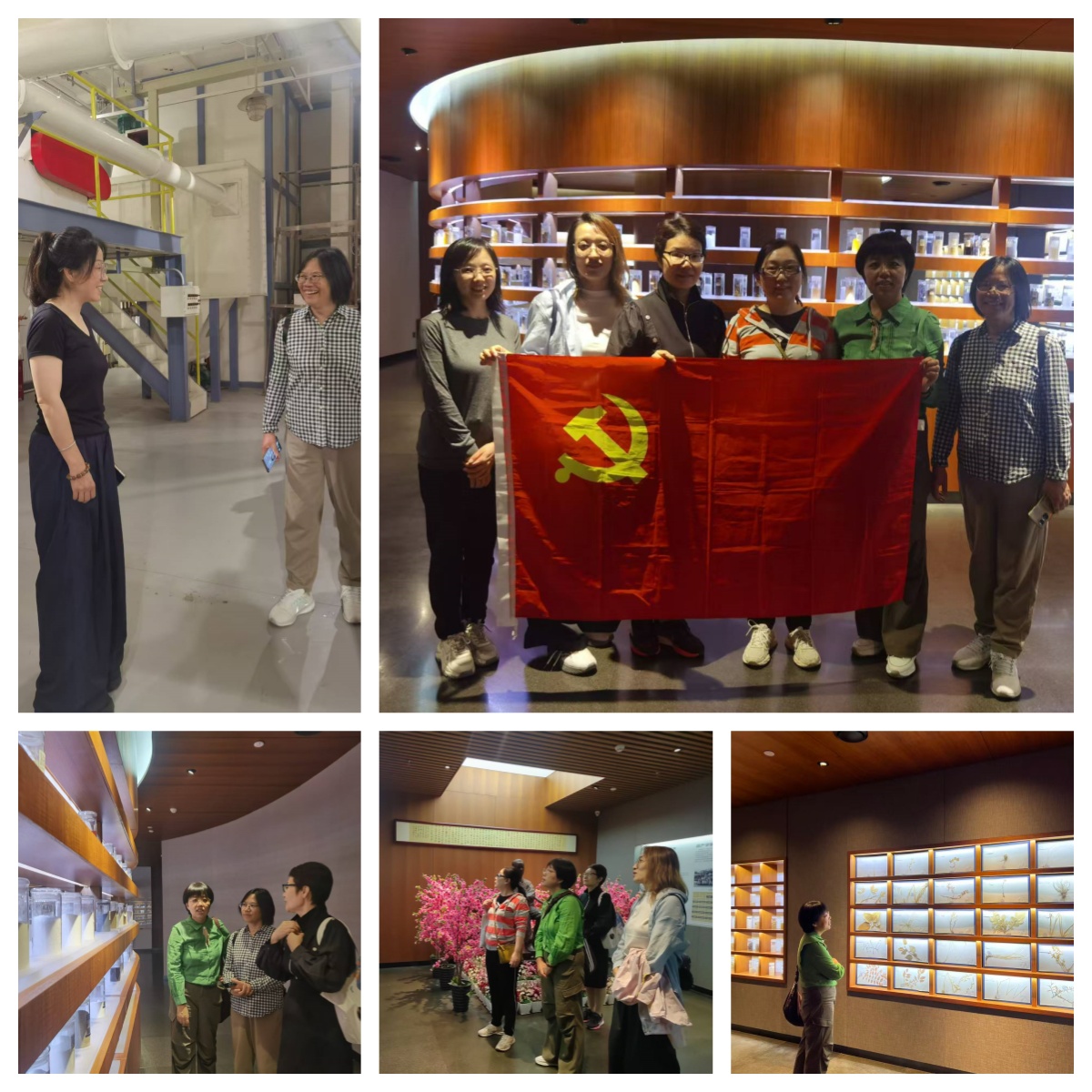 饲料博物馆5拼(李老师讲解) 饲料博物馆5拼(李老师讲解)