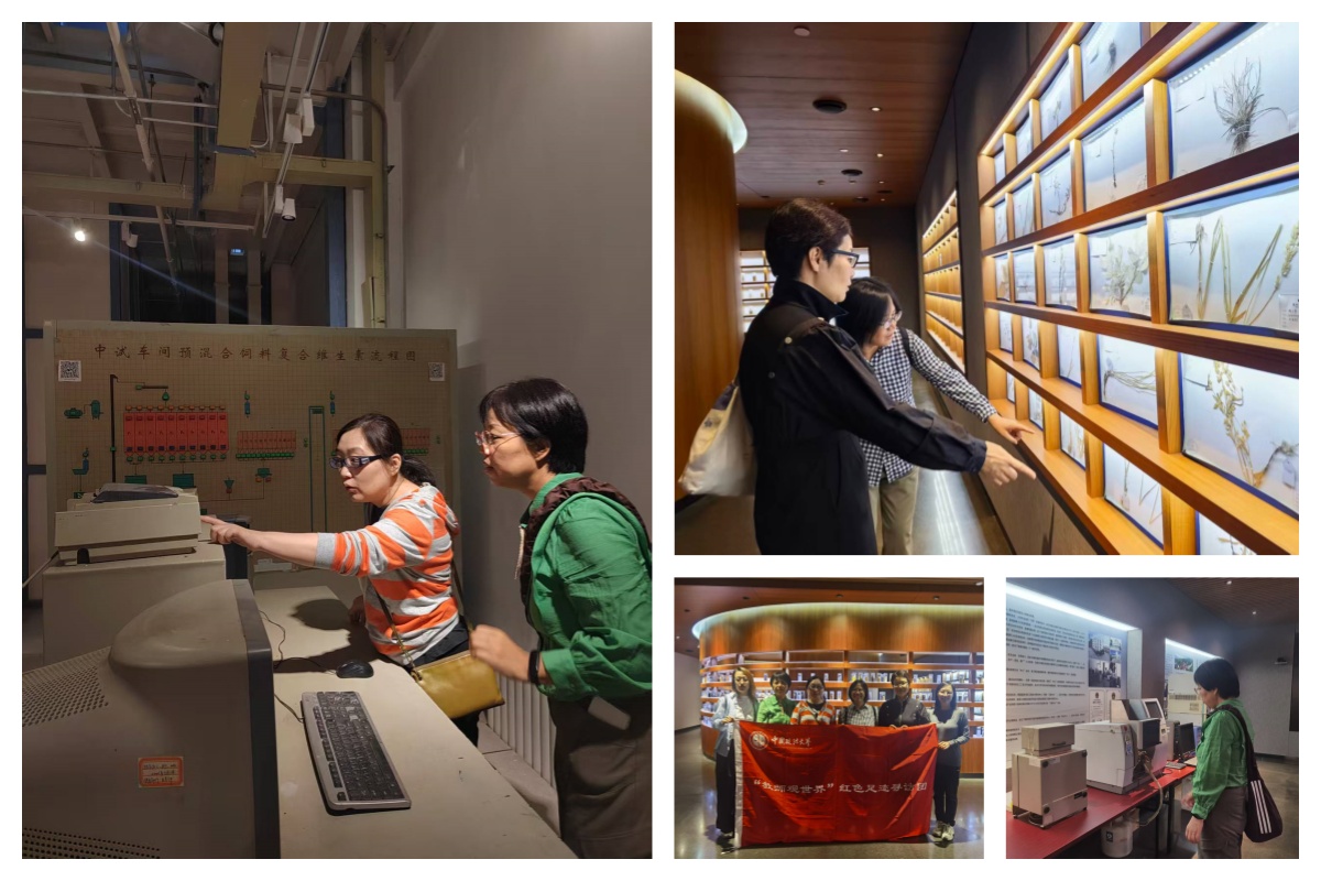 饲料馆四拼图 饲料馆四拼图