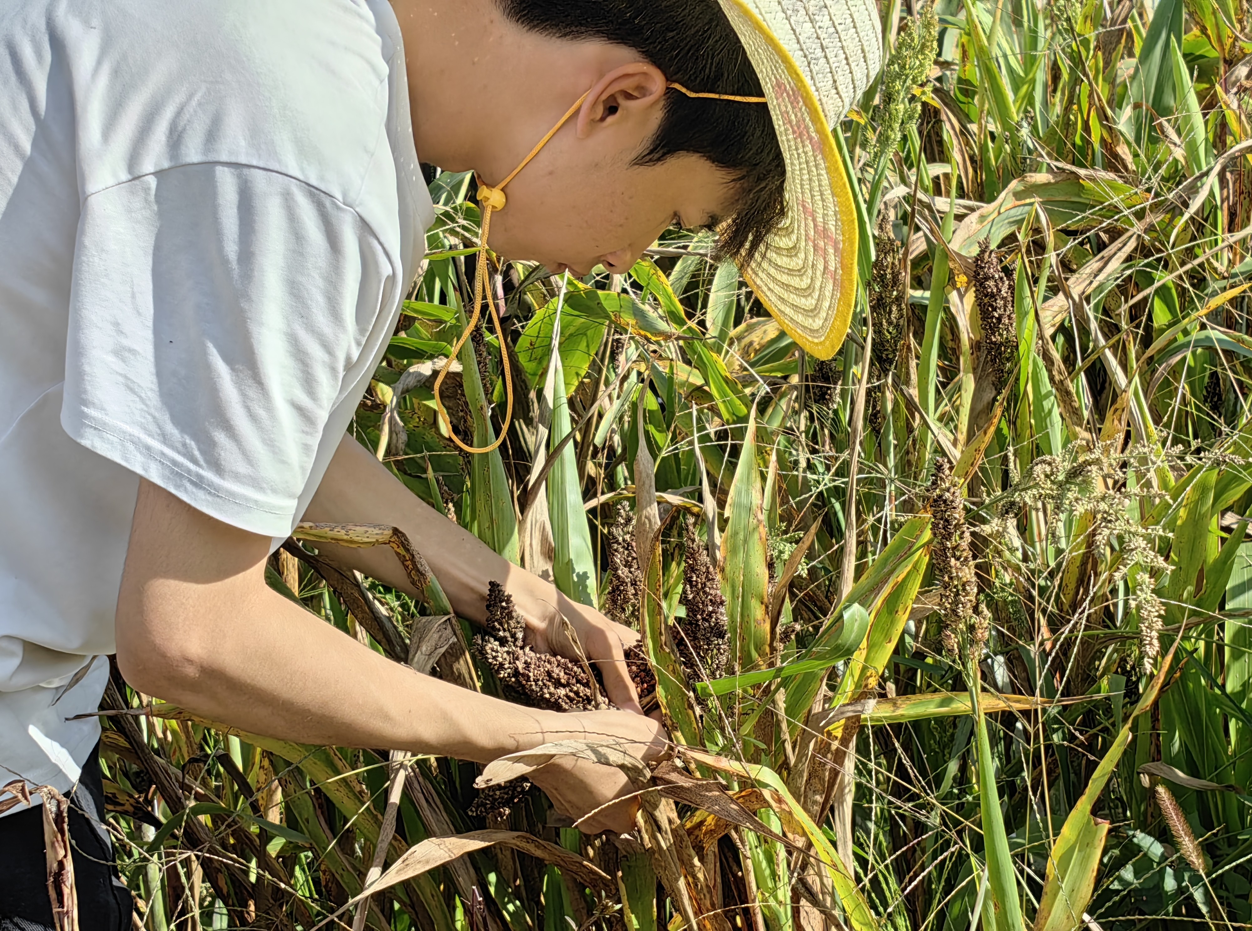 微信图片_20250929190539_61_168 微信图片_20250929190539_61_168