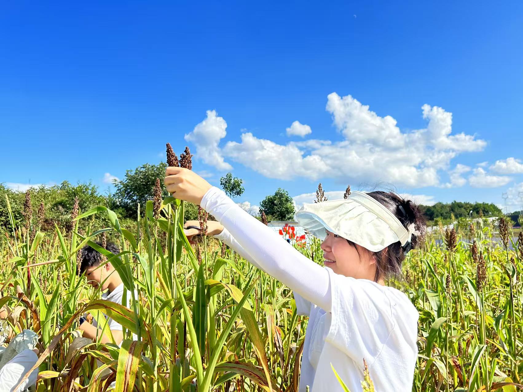 微信图片_20250929190156_59_125 微信图片_20250929190156_59_125