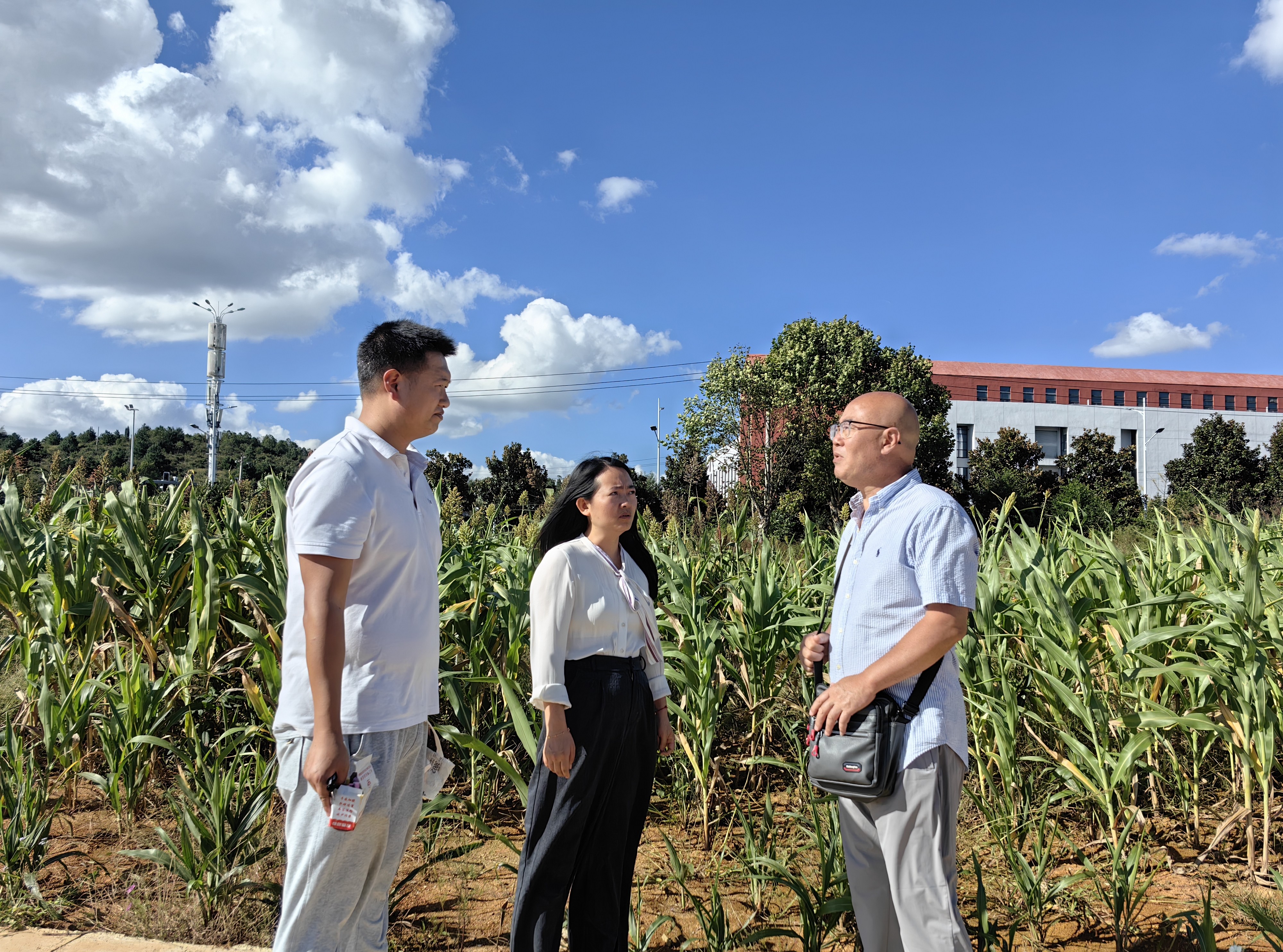 微信图片_20250929190535_60_168 微信图片_20250929190535_60_168