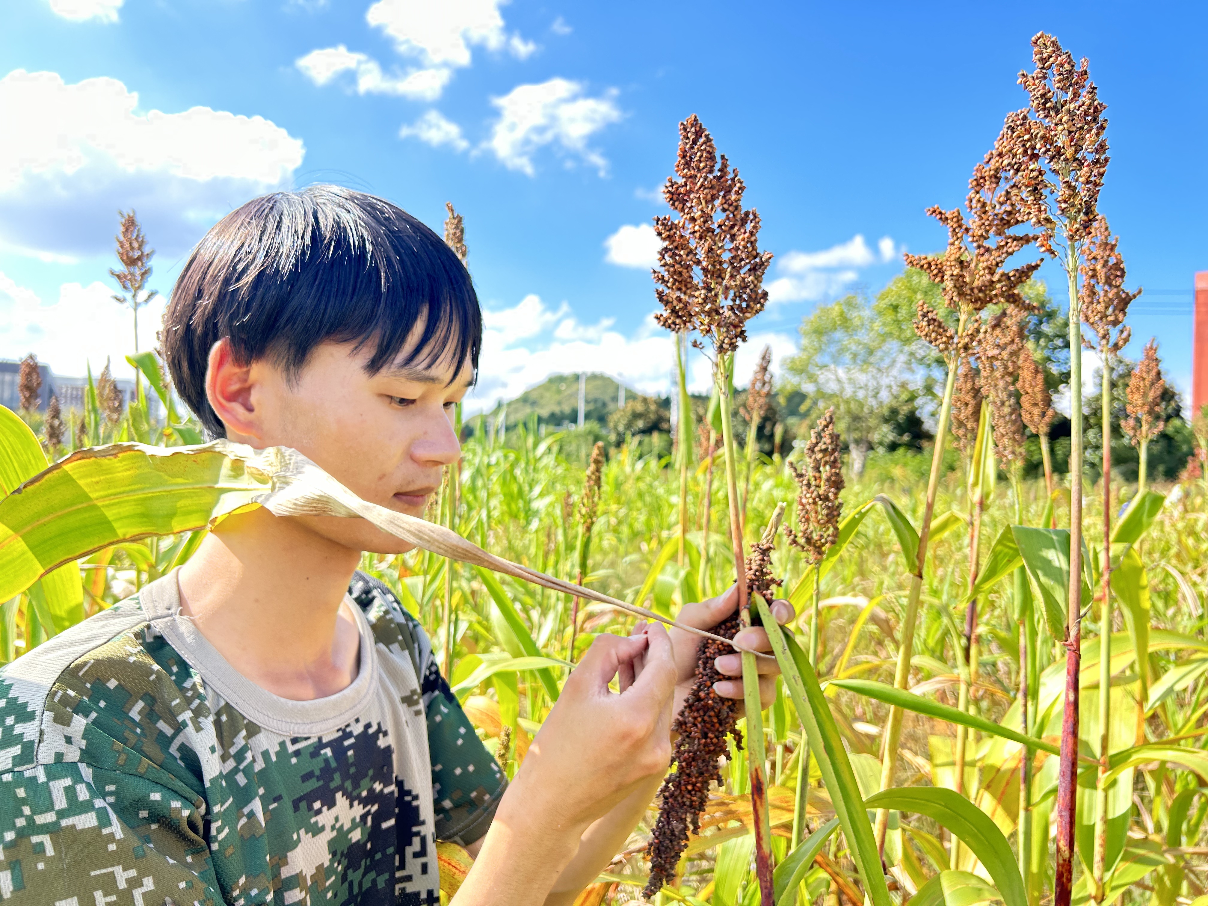 微信图片_20250929190142_57_125 微信图片_20250929190142_57_125