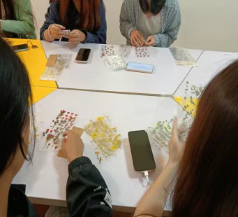 80a936a5e11bbf09b79654a55be76aea 80a936a5e11bbf09b79654a55be76aea