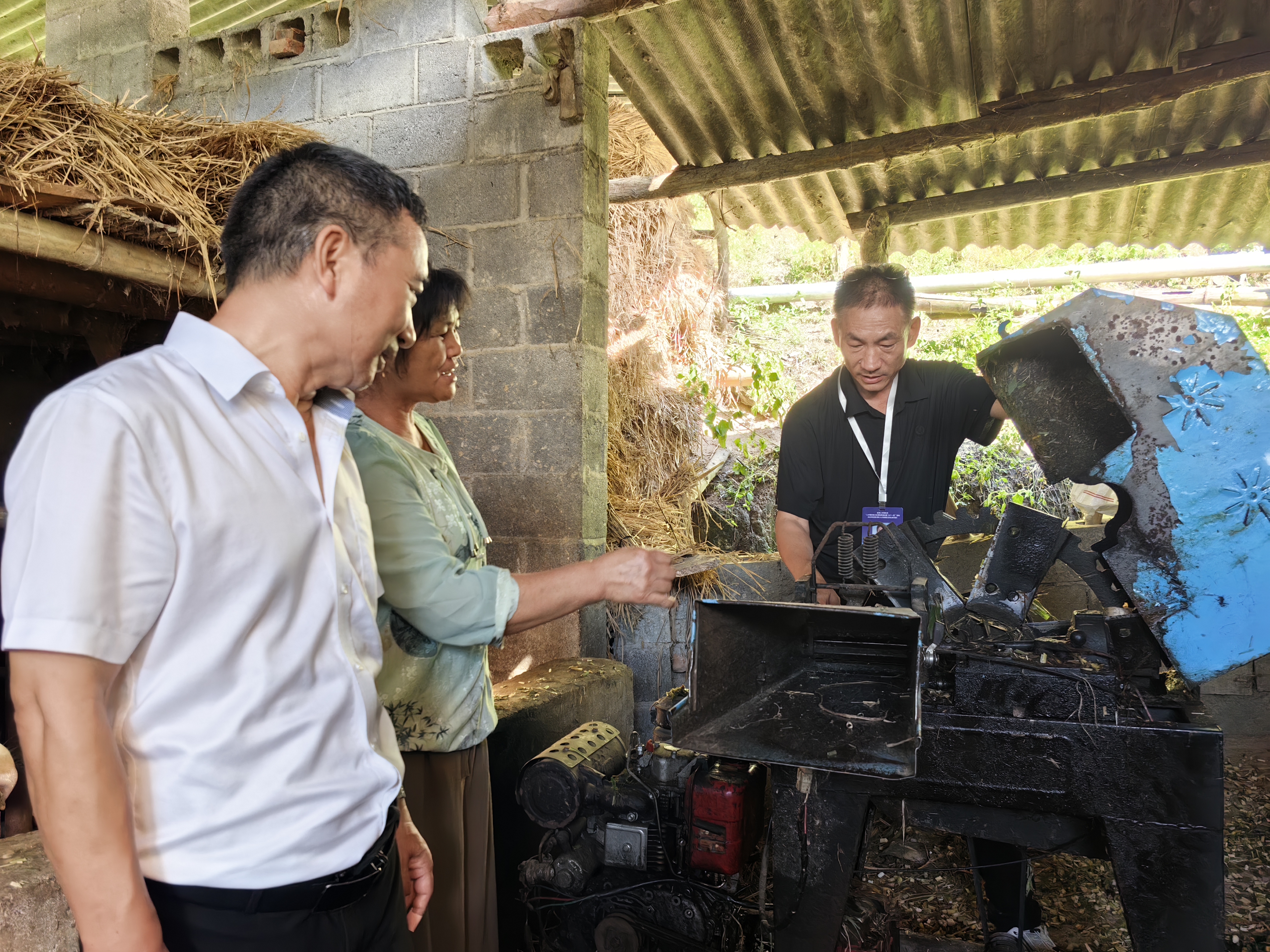 活动现场(四) 活动现场(四)