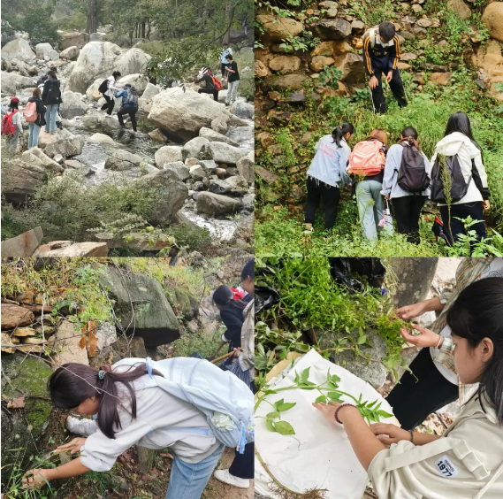 企业微信截图_17603343354700