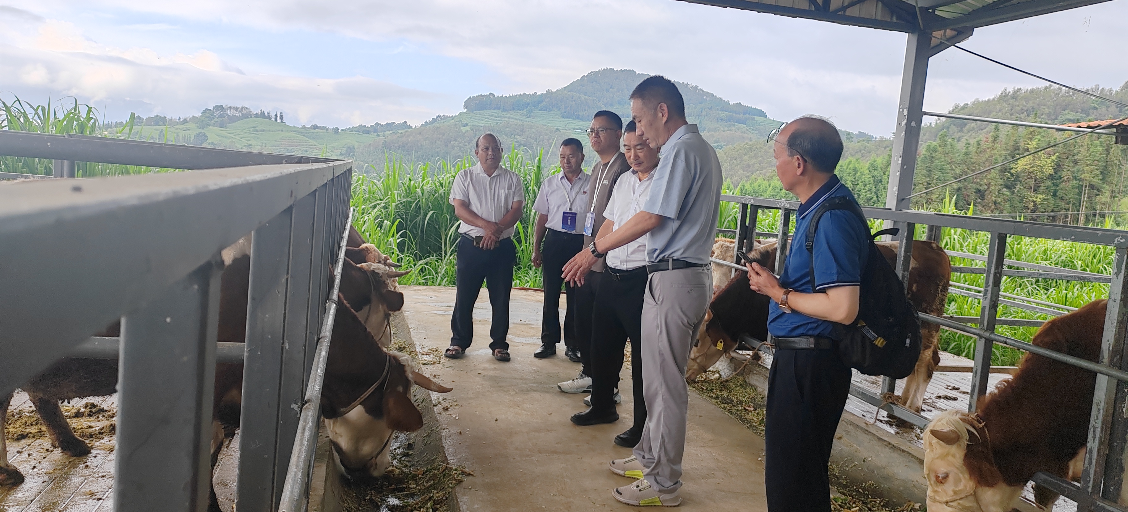 活动现场(一) 活动现场(一)