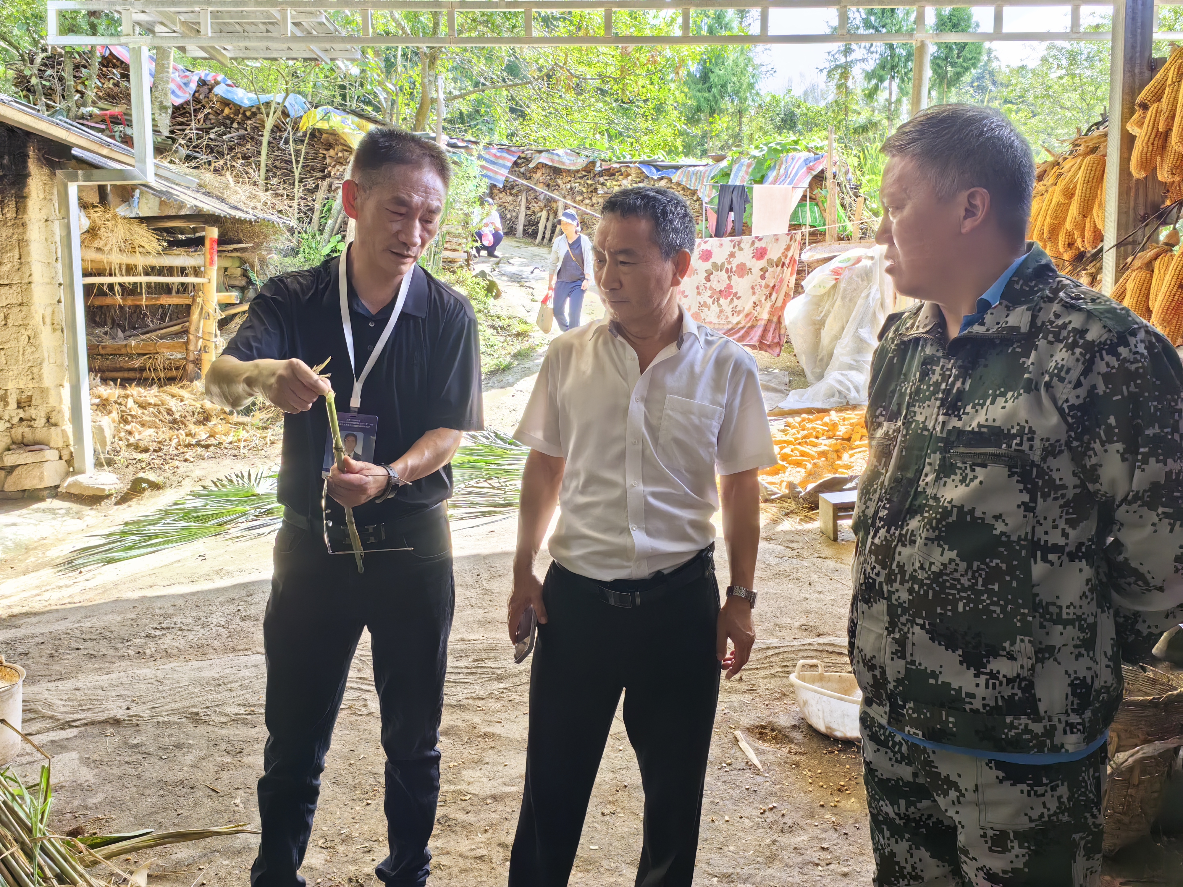 活动现场(三) 活动现场(三)