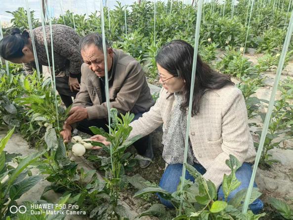 技术指导 技术指导