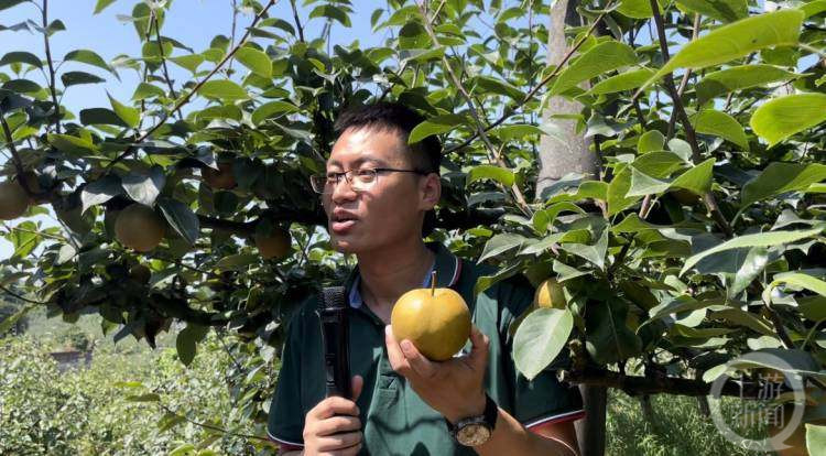 6877f826b97855ac32b8afb8df449627