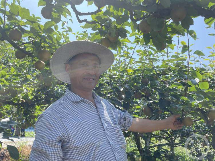 4f832c9cf5a314b1417368347c20cb48