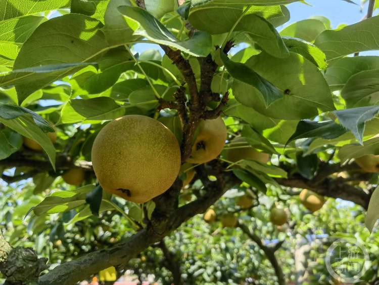 8c399097eb8eff15f1eec2781f7d23d7