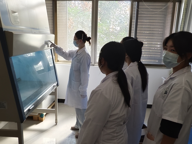 a00beb0a-82d3-4e0d-9326-358d0556d28c a00beb0a-82d3-4e0d-9326-358d0556d28c