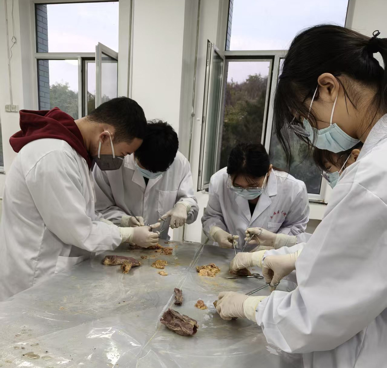 微信图片_20251016220724_235_39