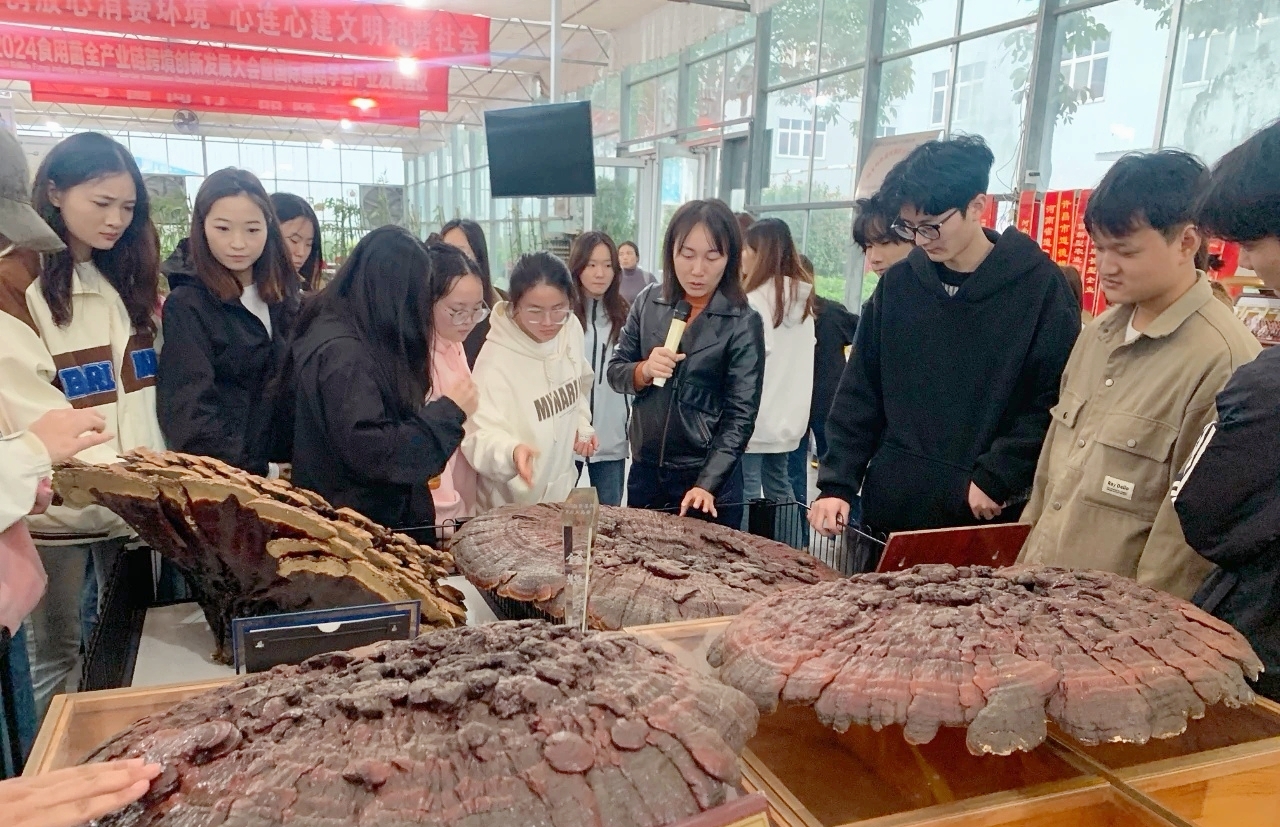 MEITU_20251020_112118705