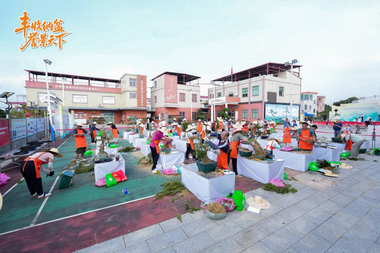 岭南盆景劳动和技能竞赛决赛现场 岭南盆景劳动和技能竞赛决赛现场