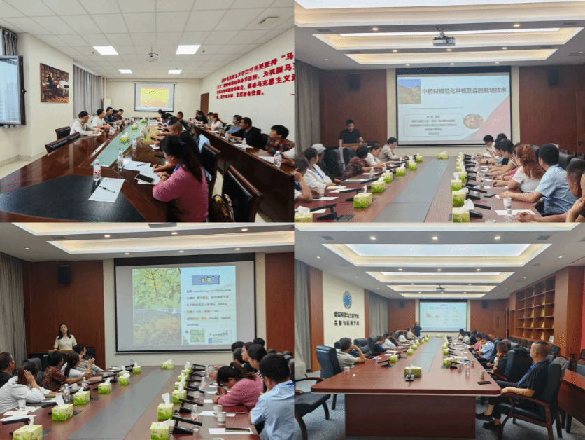 8E8C6BB88AFAA2A68D19015A9AE_35B238AE_3EDD1