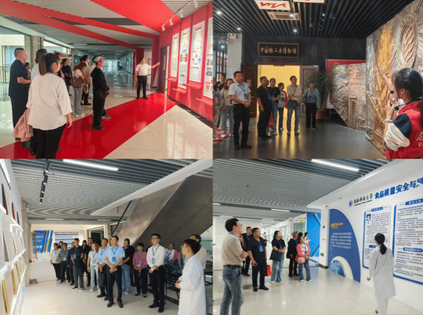 00EC29CFE9C7C988A96CF168ACD_165BF31F_45E39