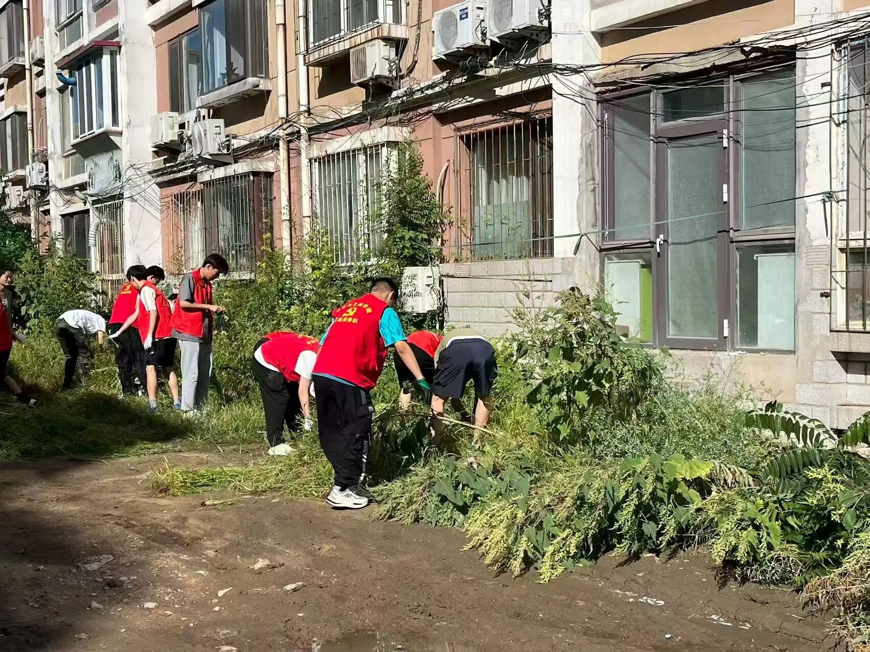 微信图片_2025-10-25_204257_335 微信图片_2025-10-25_204257_335