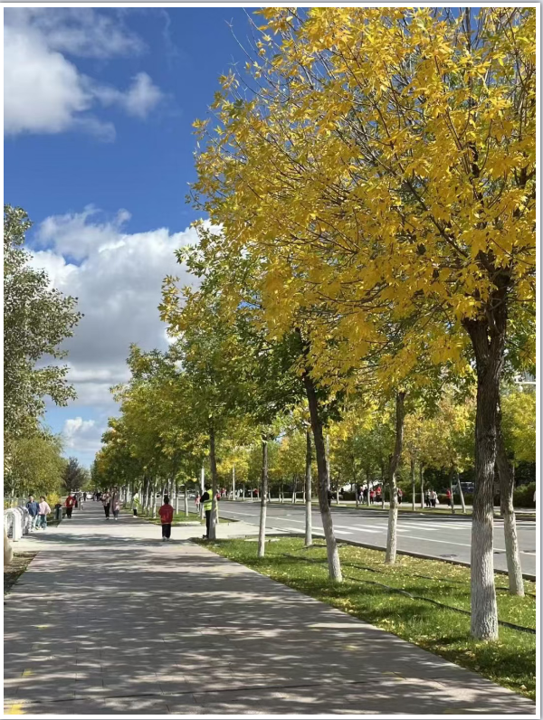 67404352-7fb4-467f-ac6c-4be0149ada41