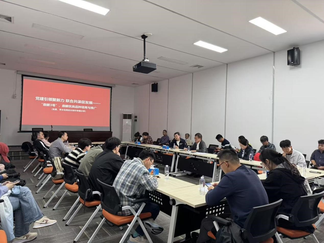 张勇教授就产业问题解答