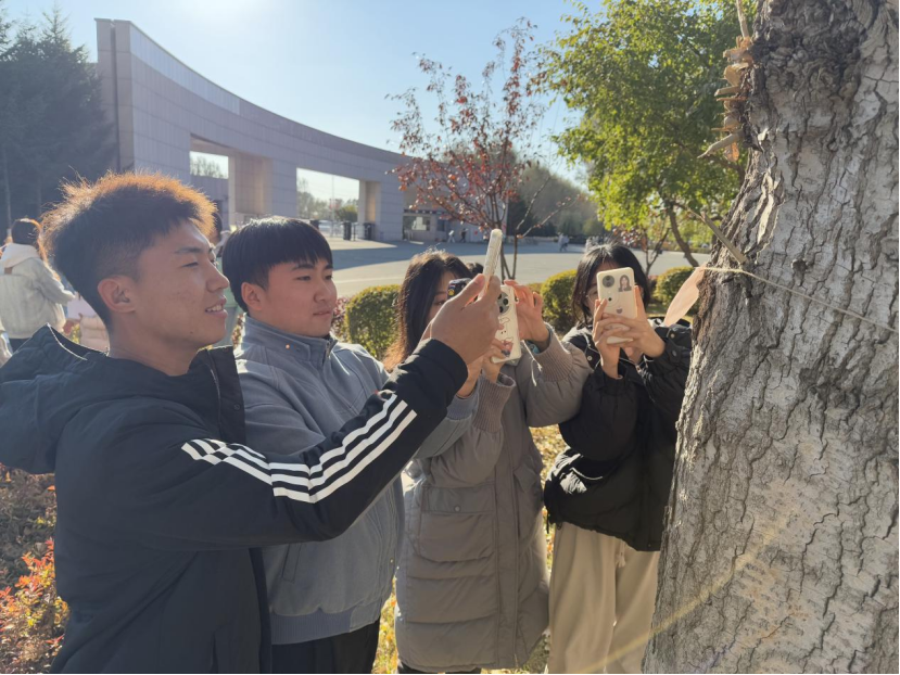 90199c7e066e33a7024f75eca459254c 90199c7e066e33a7024f75eca459254c