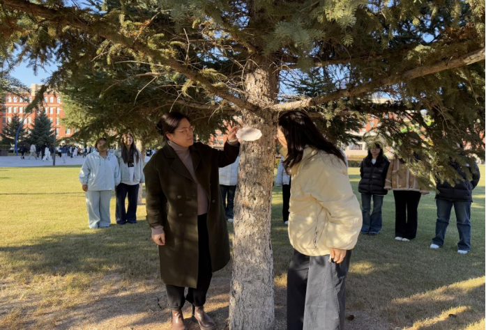 8ee8e6fa63fd27e9d0e8fa0022d7d2ee 8ee8e6fa63fd27e9d0e8fa0022d7d2ee