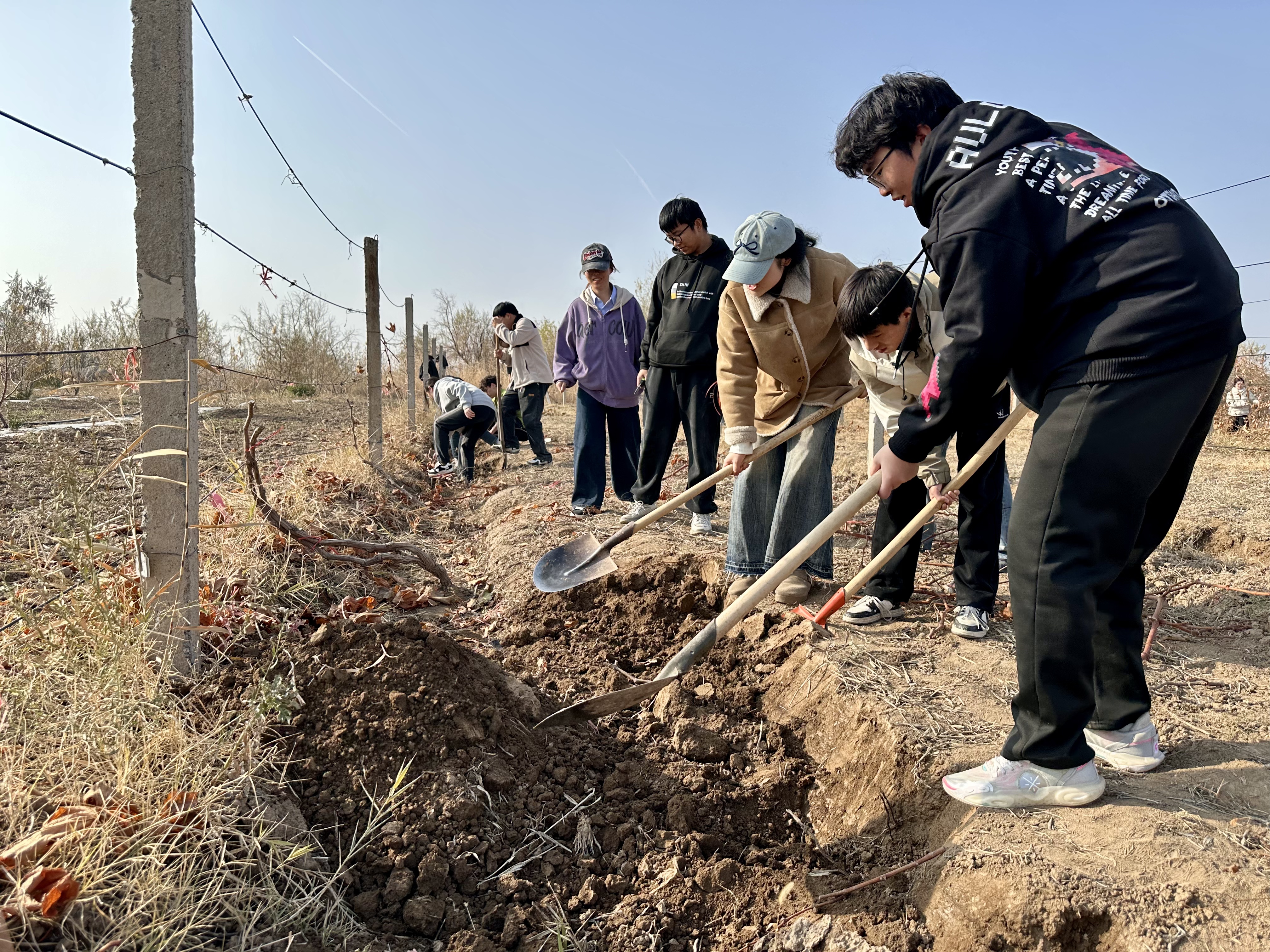 微信图片_20251025210752_266_4