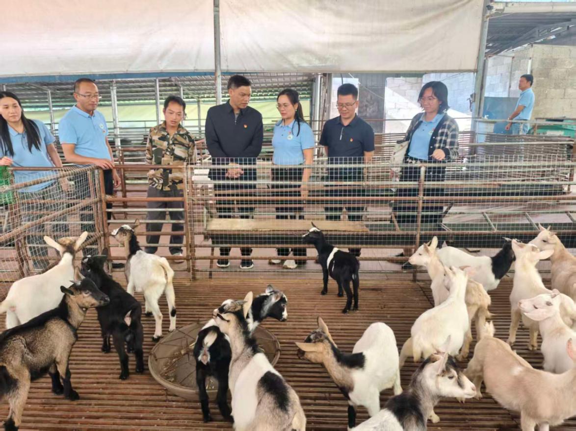 图3 “双带头人”教师党支部书记“强国行”专项行动团队在卡毫养殖场进行参观调研
