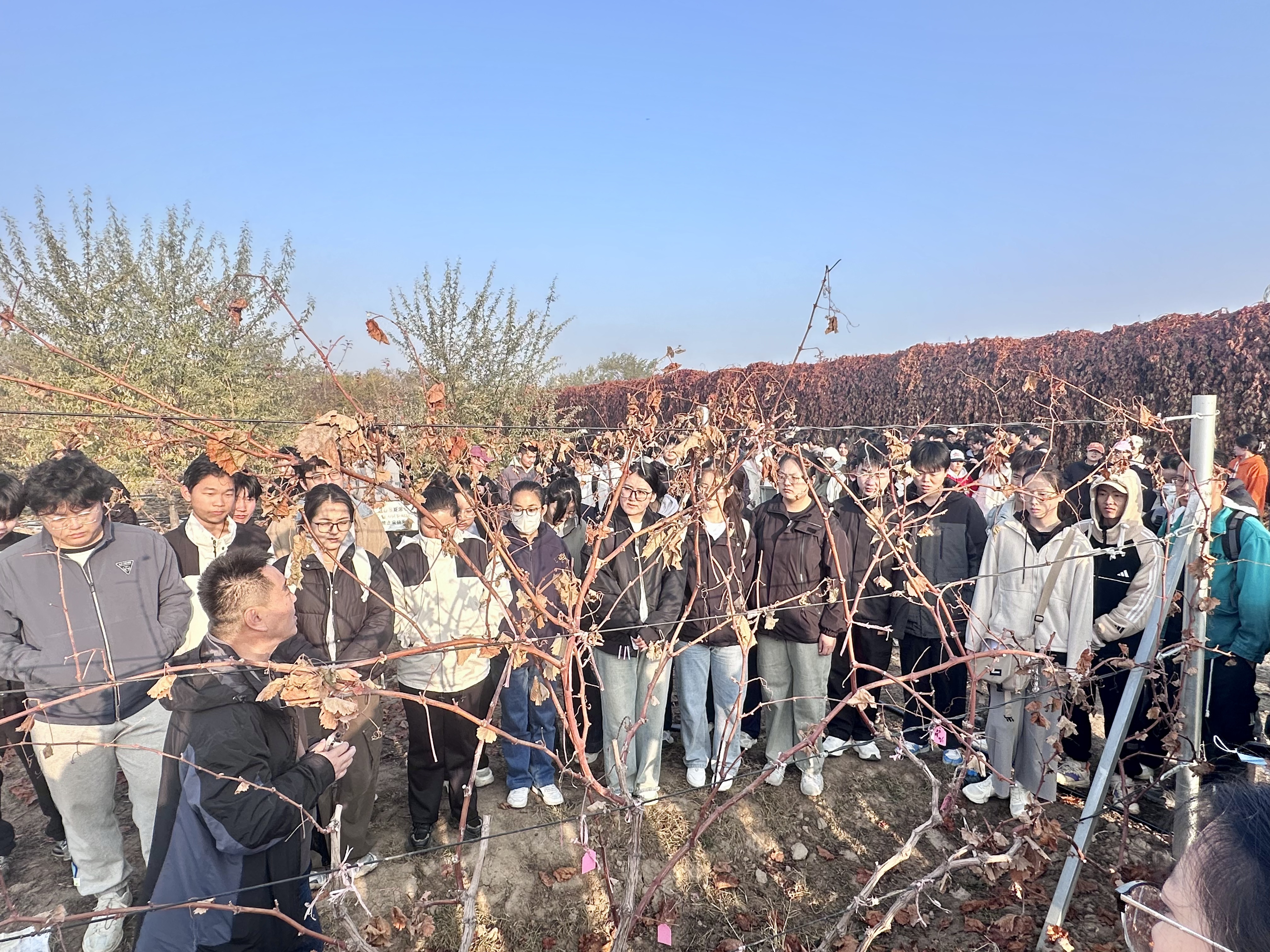 微信图片_20251025210749_265_4