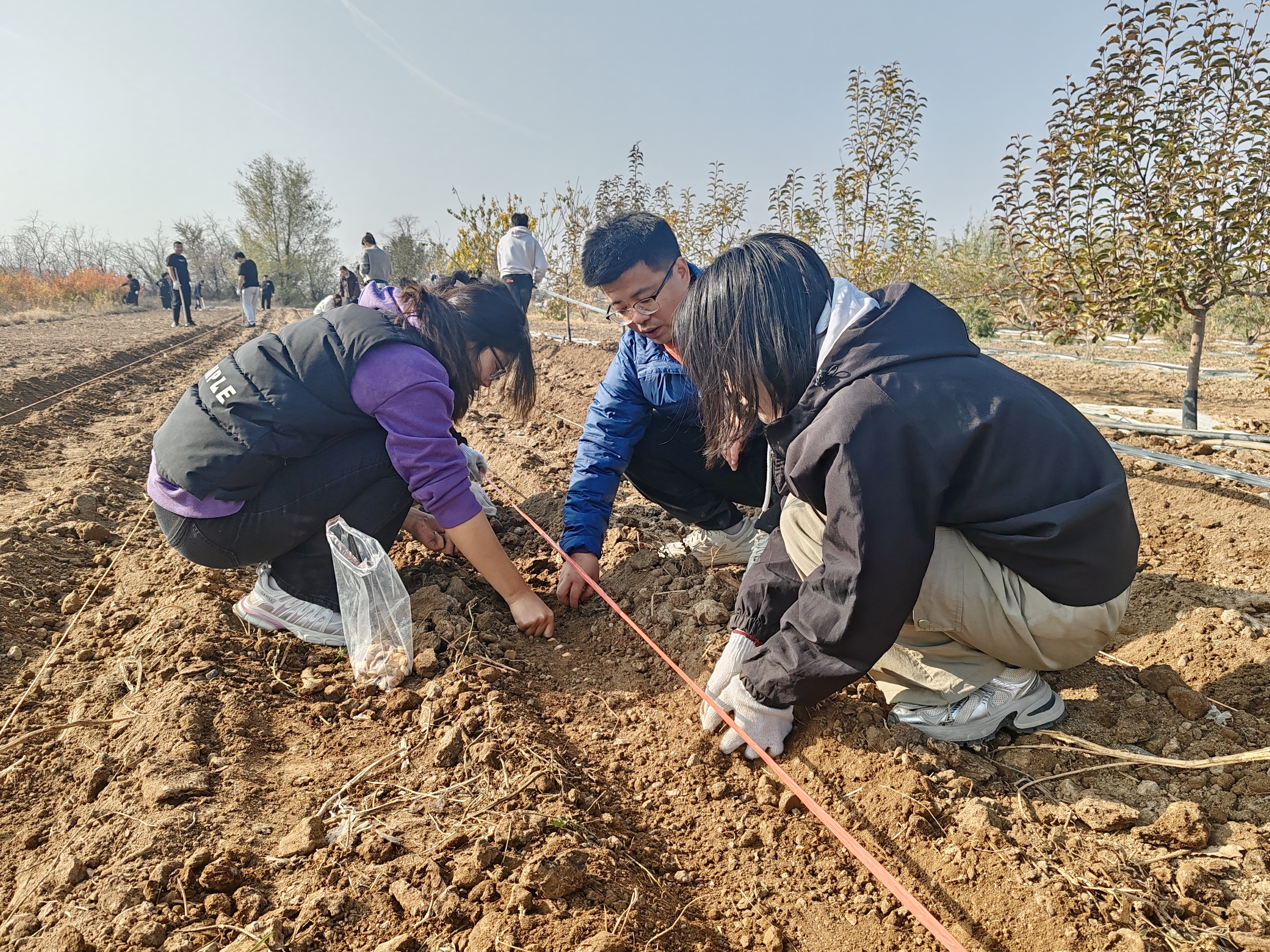 微信图片_20251025210801_270_4