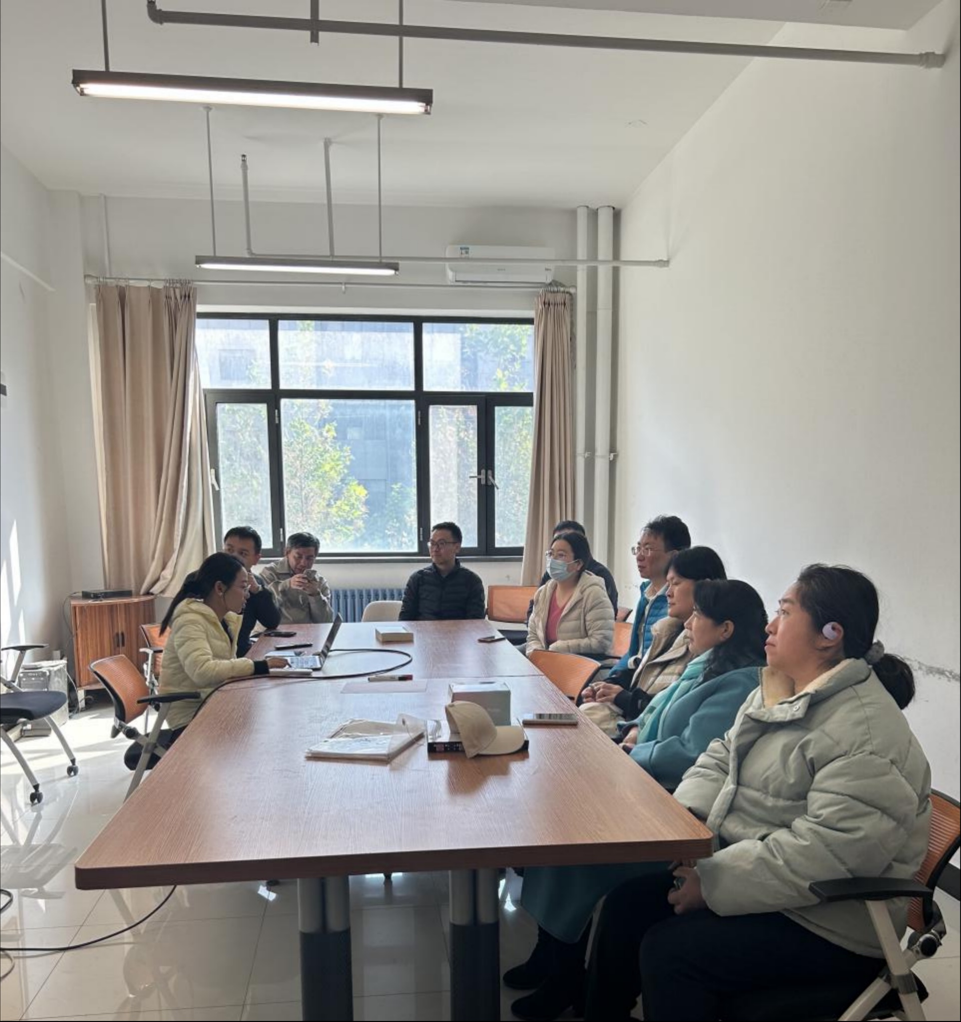 二十届四中全会精神