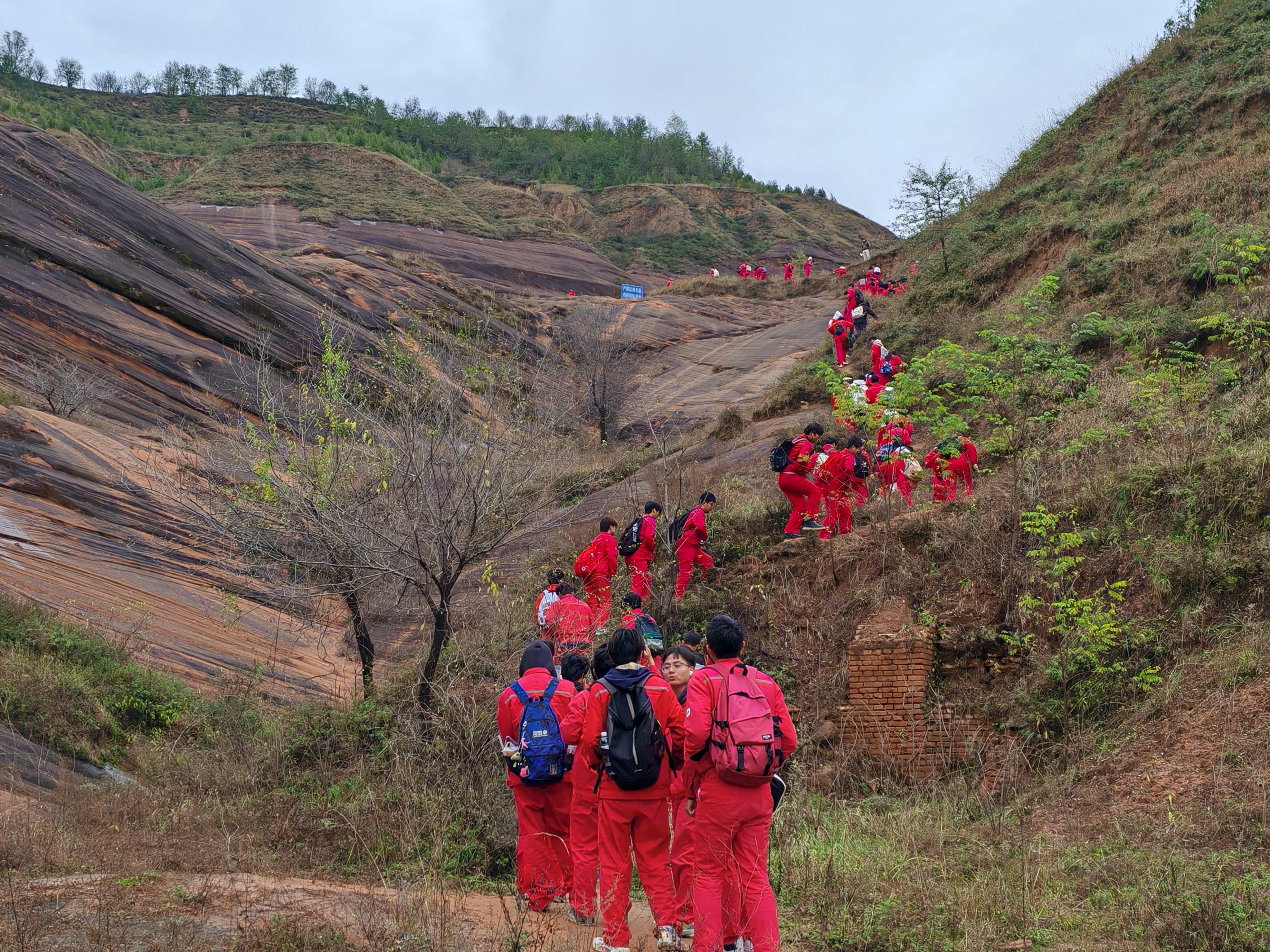 微信图片_20251017095005_177_74