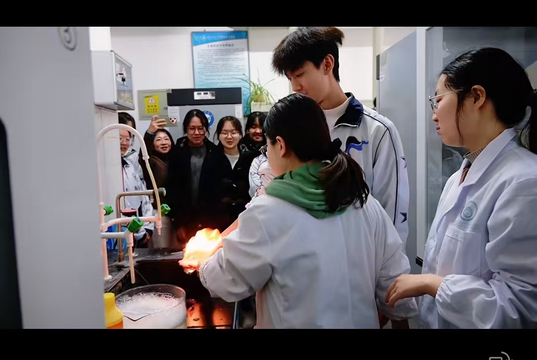 微信图片_20251031133113_201_186