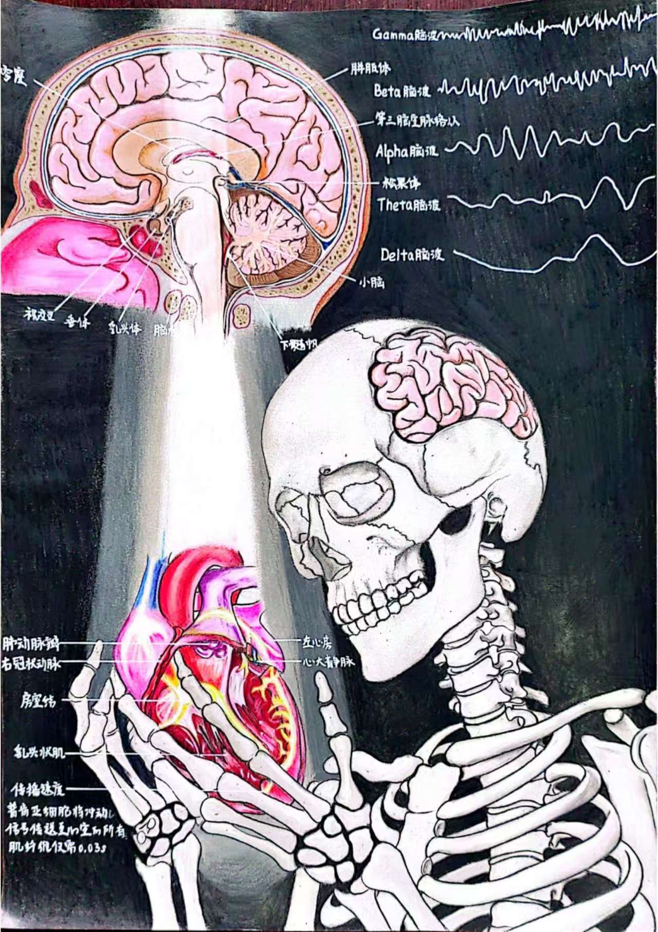 图3 2022级临床医学专业12班的郭树垚同学所绘《心想?脑思心应的人体奇妙联动》进入决赛名单 图3 2022级临床医学专业12班的郭树垚同学所绘《心想?脑思心应的人体奇妙联动》进入决赛名单