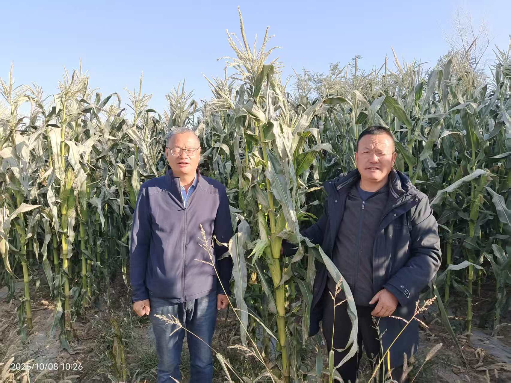 为农户讲解技术要点