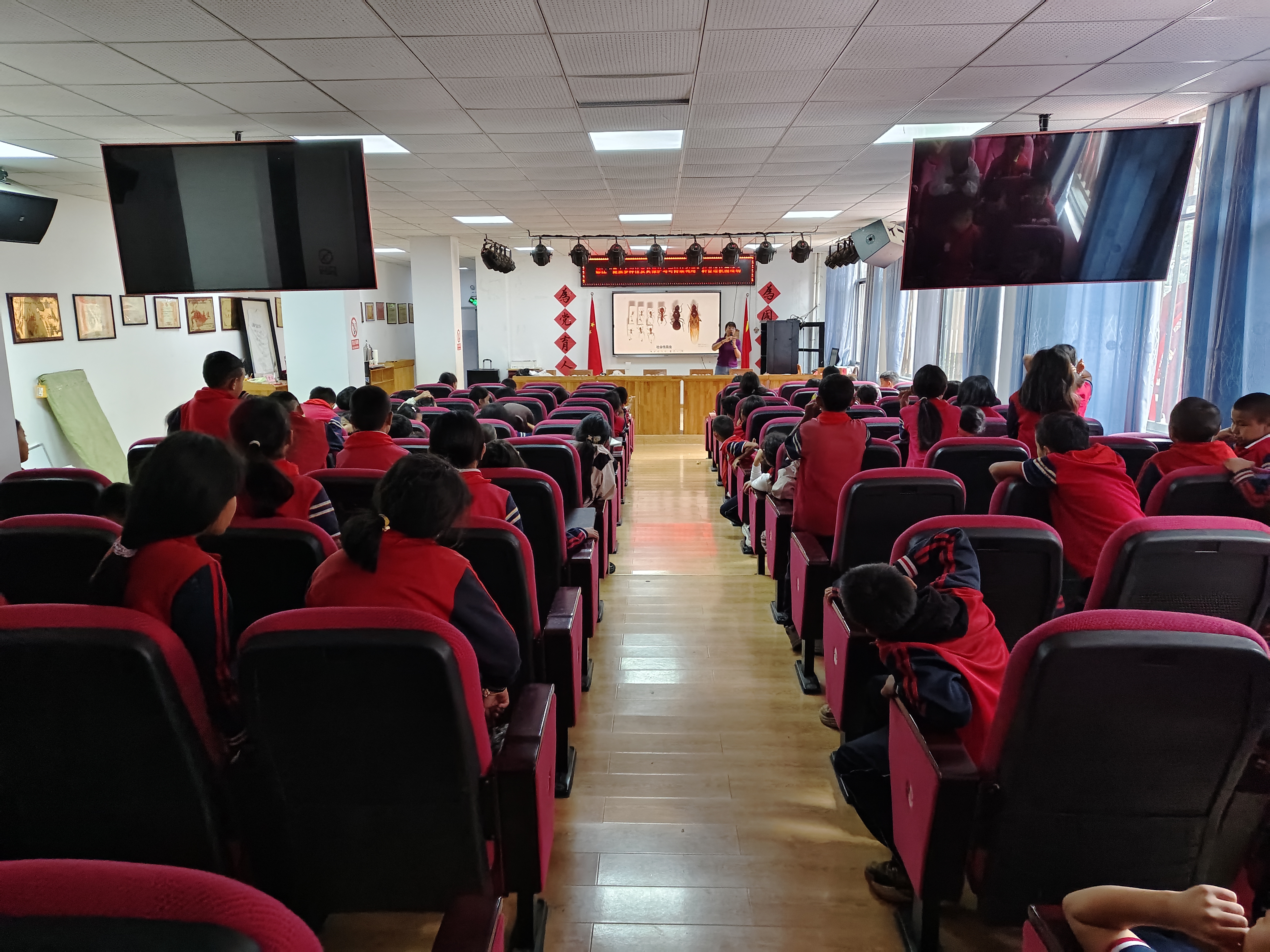 蚂蚁的社会分工20251028203232_10_1629