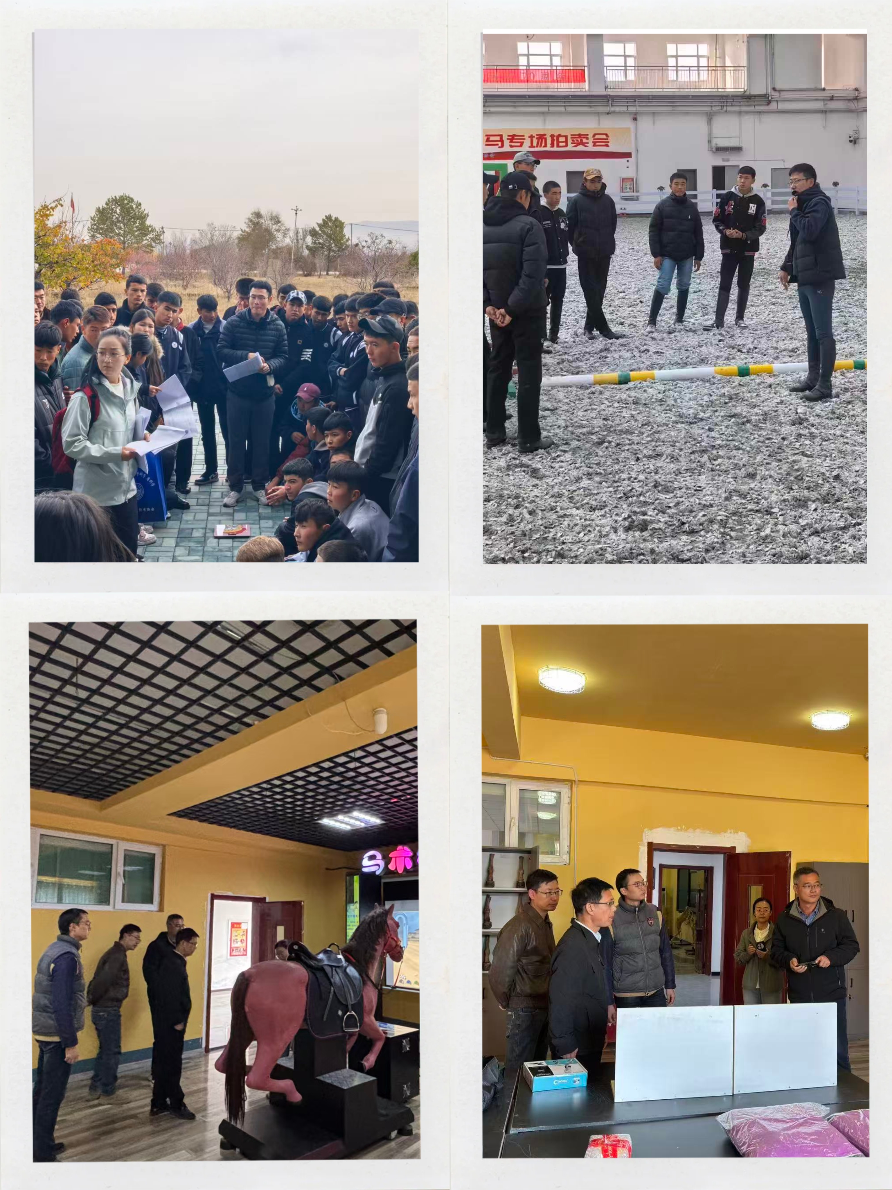 MEITU_20251103_132948685 MEITU_20251103_132948685