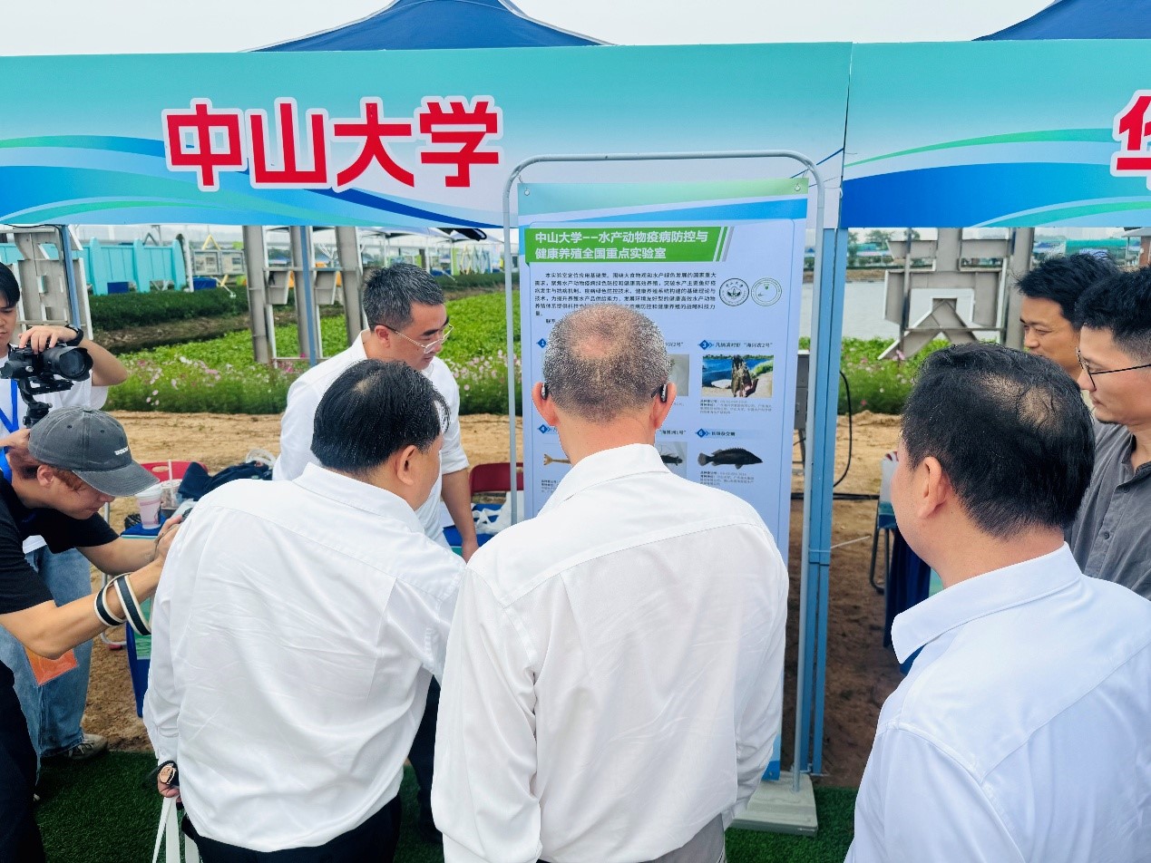 张勇教授现场讲解