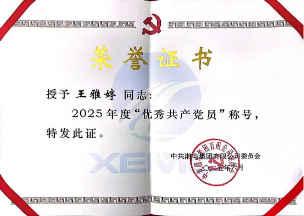 图3 集团优秀共产党员