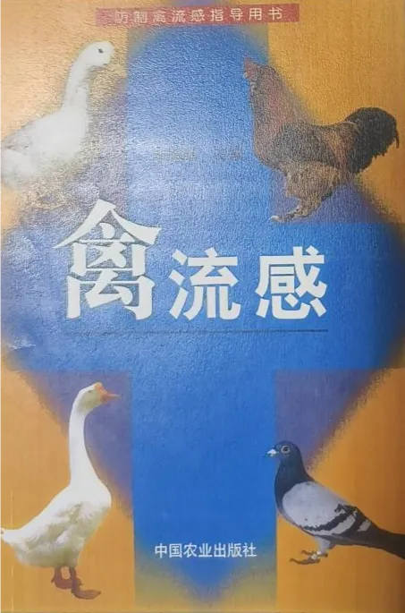 图片3