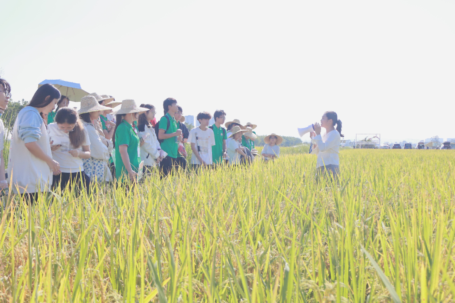 农场课堂：作物生产与经营管理党支部张明星老师讲微党课