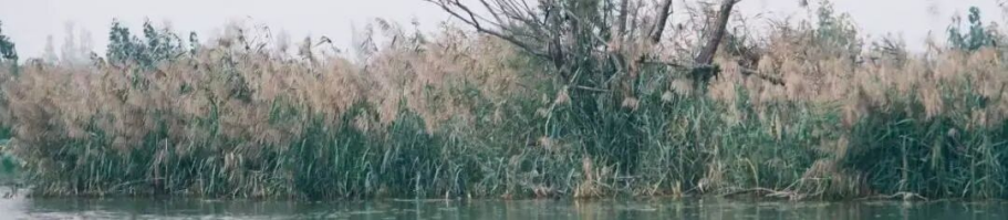 e48dcce399521ed514c99a53d6bff737 e48dcce399521ed514c99a53d6bff737