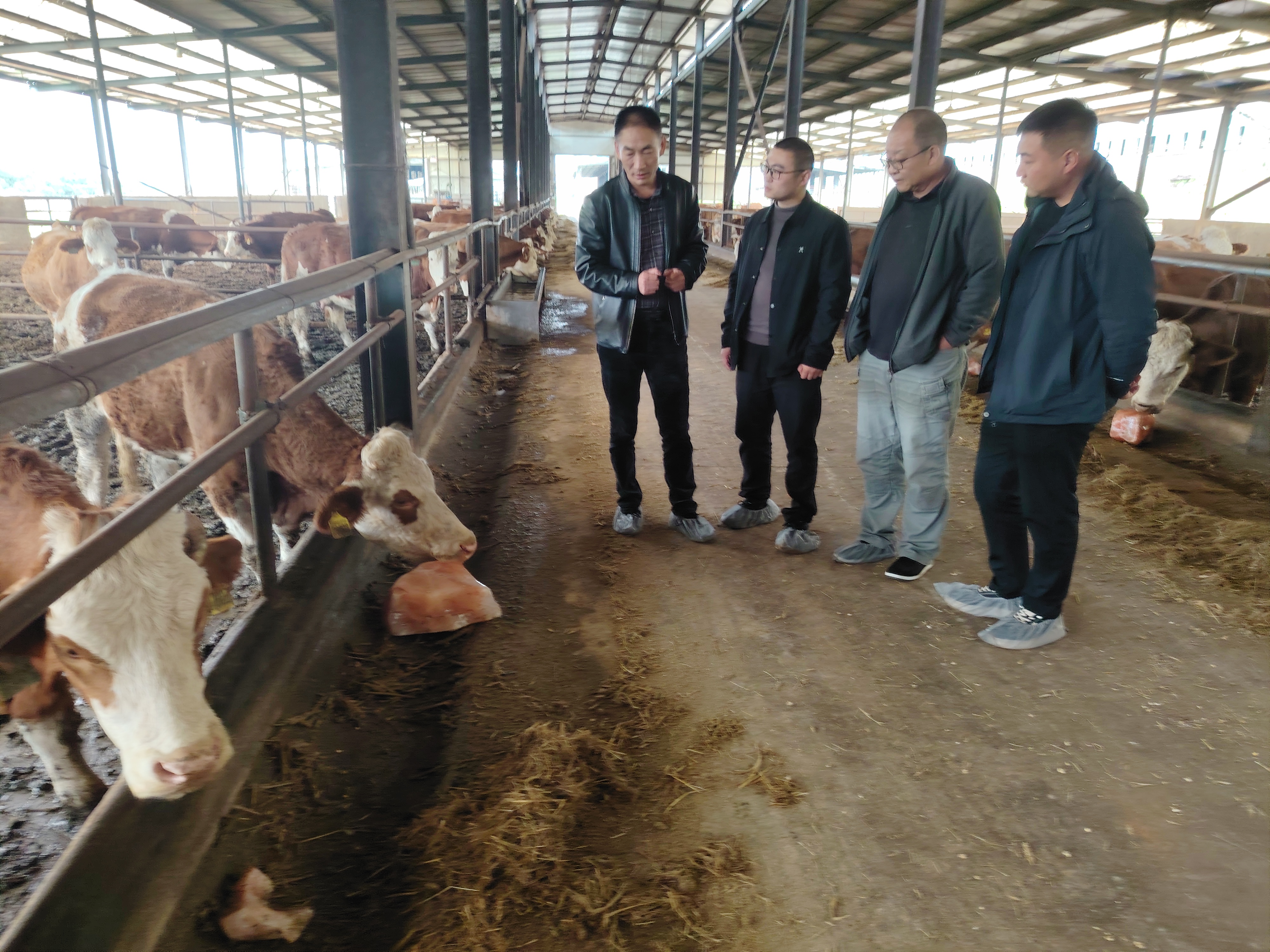 调研现场（三）